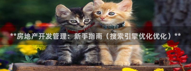 万向娱乐技术分享