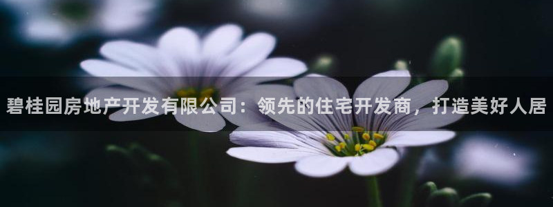 万向娱乐挂机软件