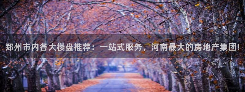 万向娱乐注册主管是谁