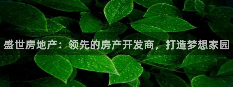 万向娱乐的联系方式是什么