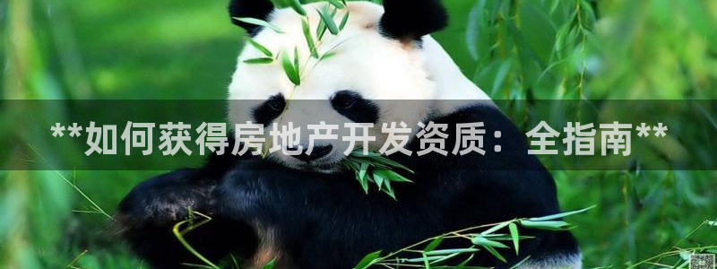 万向娱乐注册资金多少