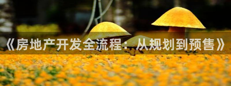 万向娱乐平台招商骗局