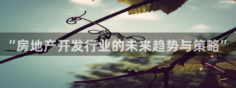 万向娱乐公司 585.34I 娱乐