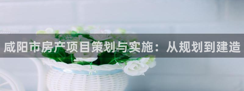 万向娱乐官网网址大全