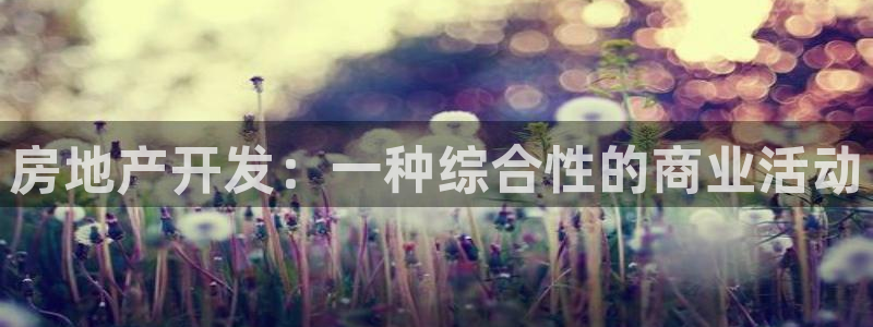 万向娱乐平台代理怎么做的