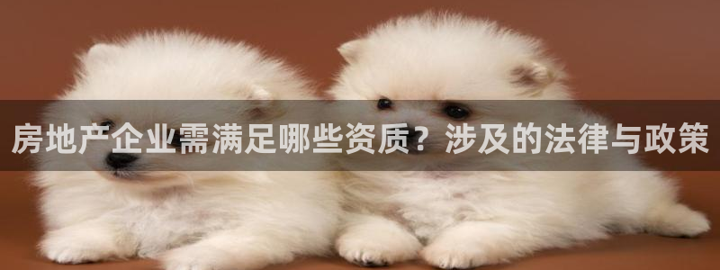 万向娱乐平台代理怎么样赚钱