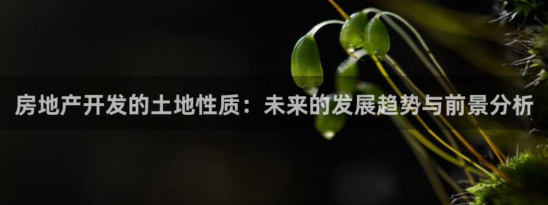 万向娱乐的494o3 主管