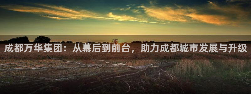 万向娱乐平台怎么下载