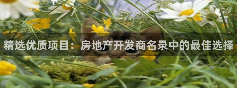 万向娱乐平台代理怎么样赚钱