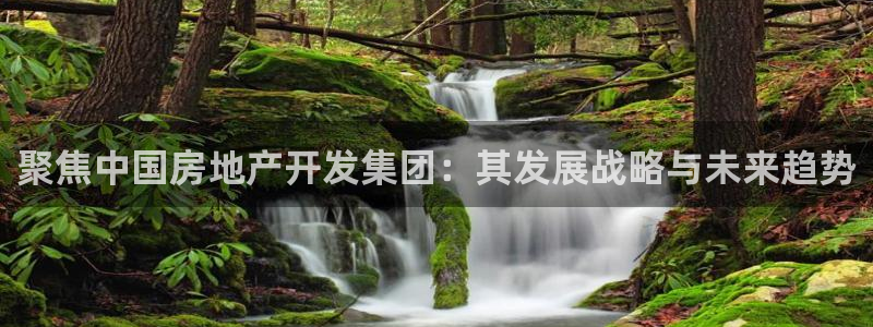 万向娱乐平台怎么下载