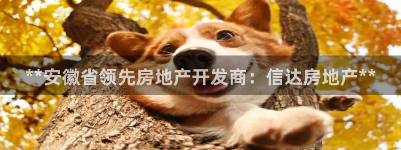 万向娱乐公司官网首页