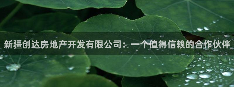 万向娱乐灯333OO