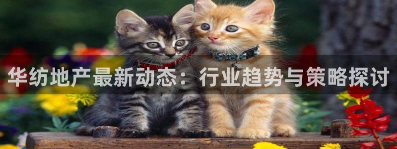 万向娱乐公司官网