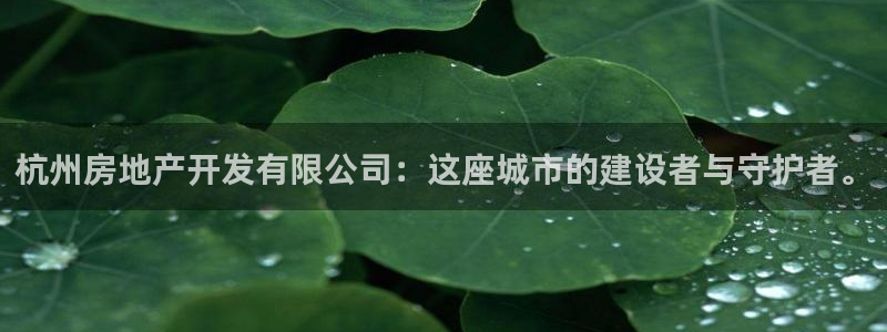 万能娱乐代理网址