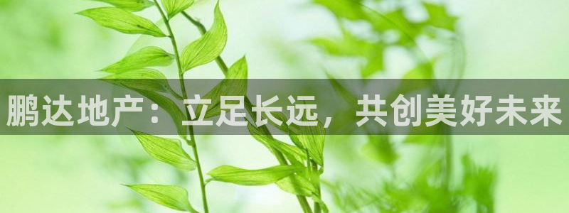 万向娱乐平台代理