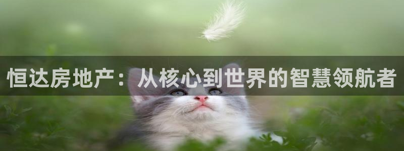 万向娱乐注册登录不了怎么办