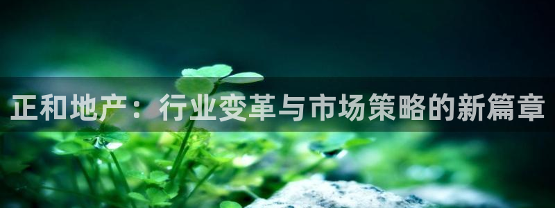 万向娱乐注册登录不上怎么办