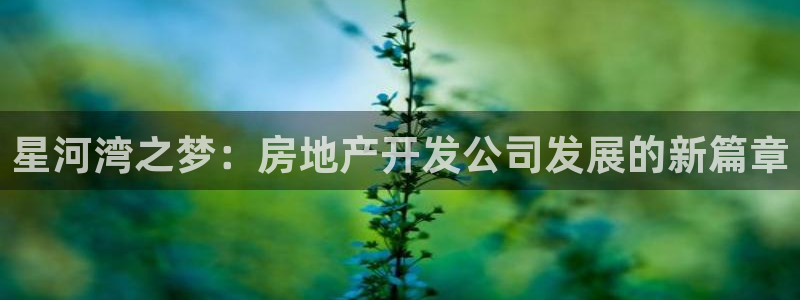 万能娱乐代理网址