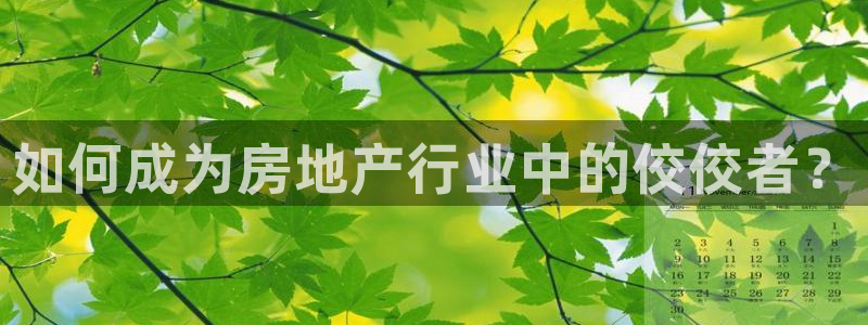 万向娱乐代理好看视频是真的吗