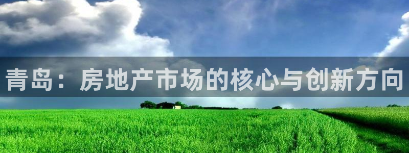 万向娱乐挂机软件