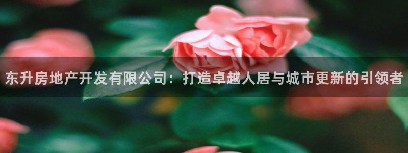 万向娱乐注册登录不上去