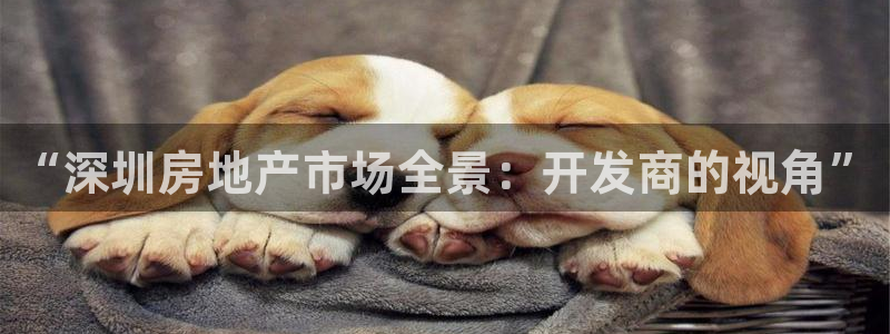 万向娱乐注册资金多少