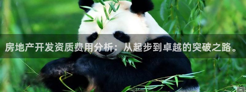 万向娱乐王者荣耀