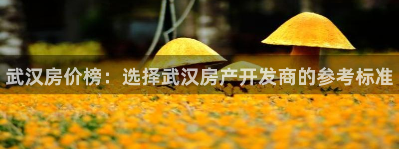 万向娱乐官网网址是什么