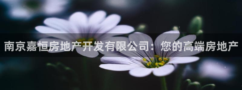 万向娱乐注册登录不了怎么办