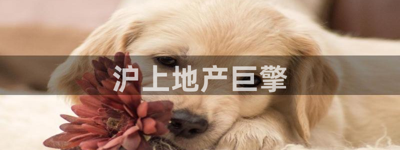 万向娱乐平台注册流程