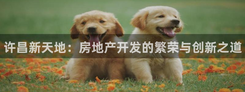 万向娱乐公司官网