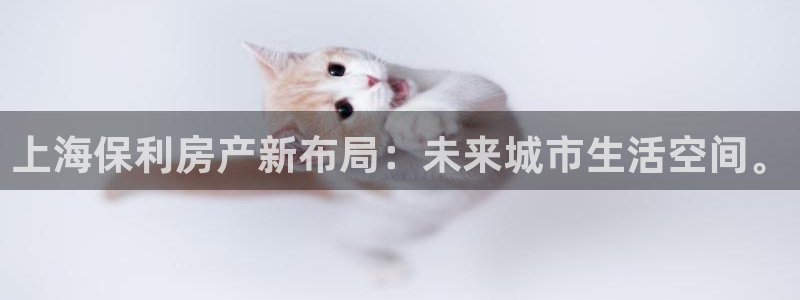 万向娱乐公司 585.34I 娱乐