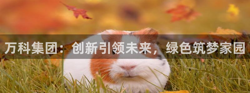 万向娱乐挂机软件