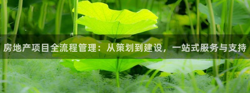 万向娱乐平台代理多少钱一个月