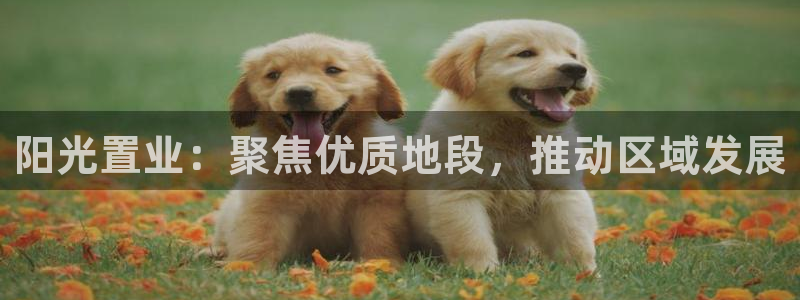 万向娱乐平台注册地址在哪里