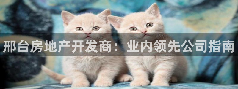 万向娱乐注册登录不了怎么办