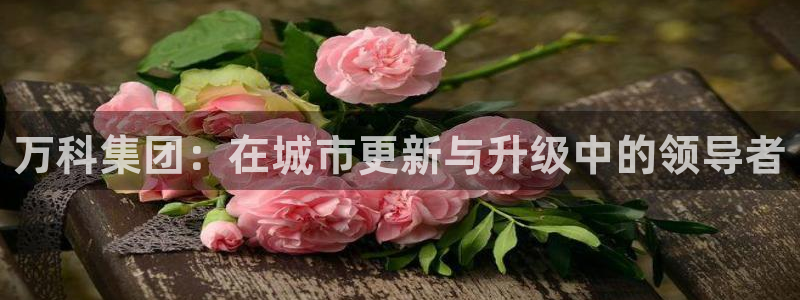 万向娱乐注册主管是谁