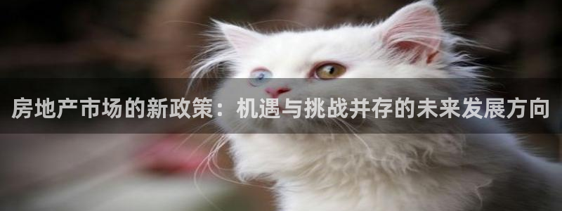 万向娱乐注册开户要多久