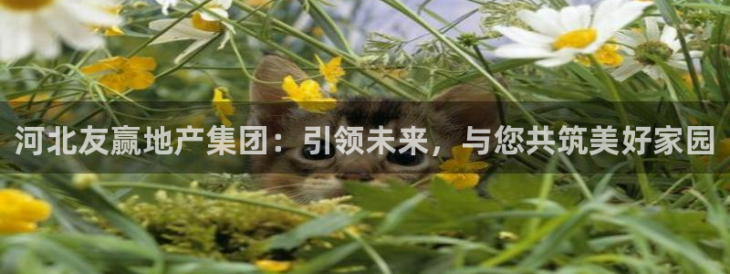 万向娱乐平台怎么下载